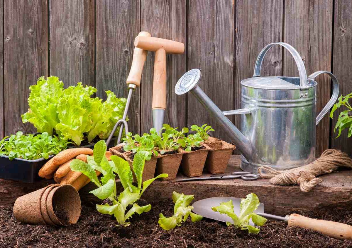 A watering can, gardening tools, and plants sit on top of the dirt of a garden