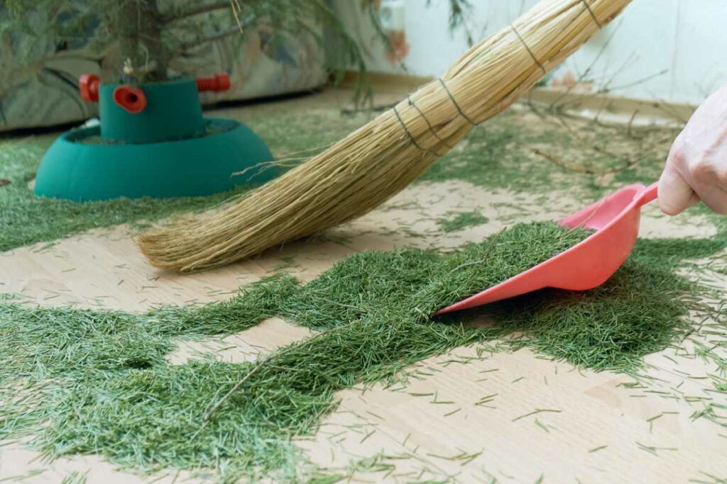 Cleaning the floor from dry fallen Christmas tree needles after the holidays