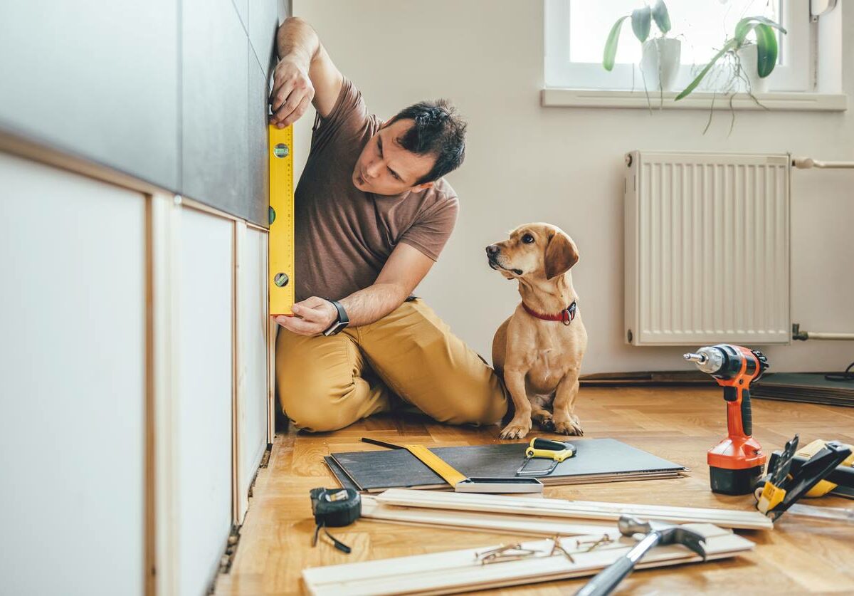 A homeowner and their dog carefully measure a wall as they renovate their home
