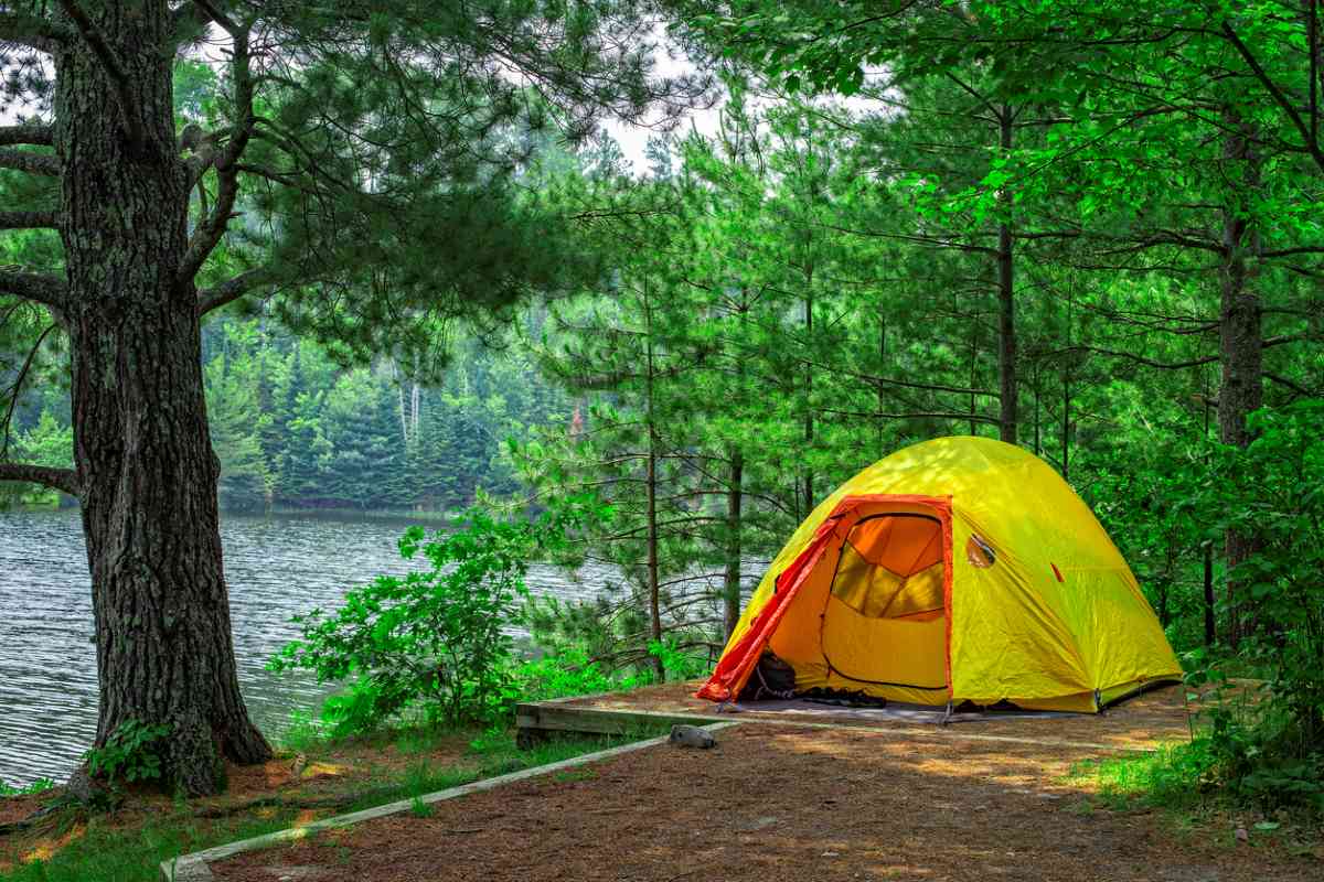 A Yellow tent pitched along the bank of a river surrounded by trees.