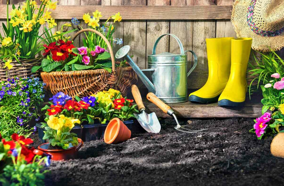 A render of bright flowering plants in baskets and pots near soil.