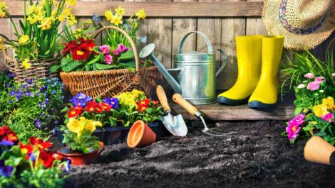 A render of bright flowering plants in baskets and pots near soil.