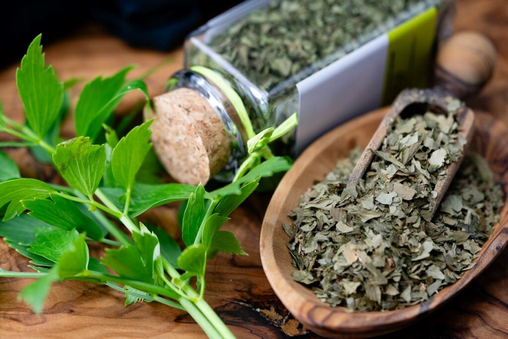 Green herbs dried in a mortar and bottle with fresh herbs on a wooden table.